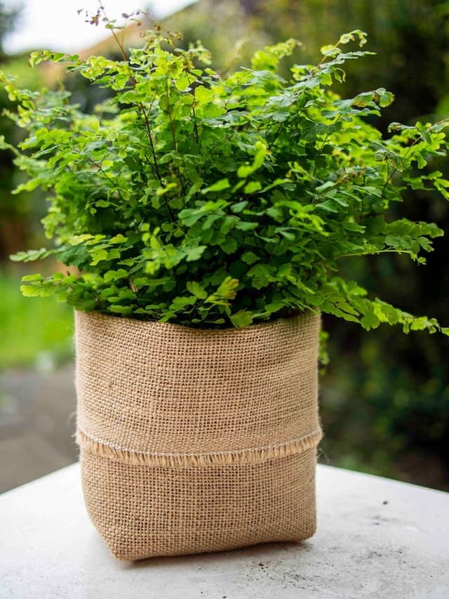 Packaging & Industrial image 5