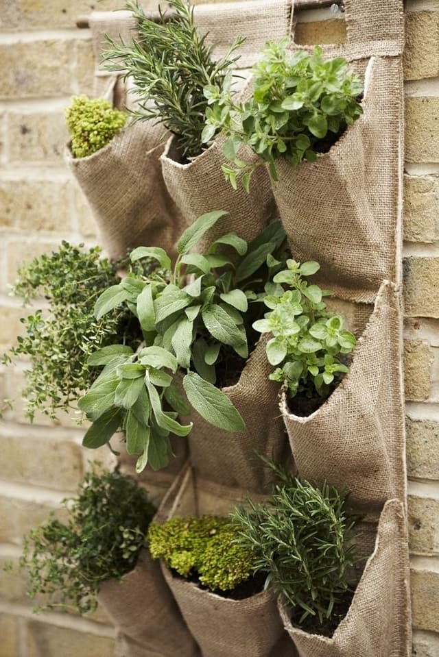 Agricultural & Horticultural image 6